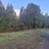 praderas de villarrica etapa ii desde $25.000.000 praderas de villarrica etapa ii desde $25.000.000