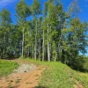 praderas de villarrica iii y iv desde $24.990.000 praderas de villarrica iii y iv desde $24.990.000