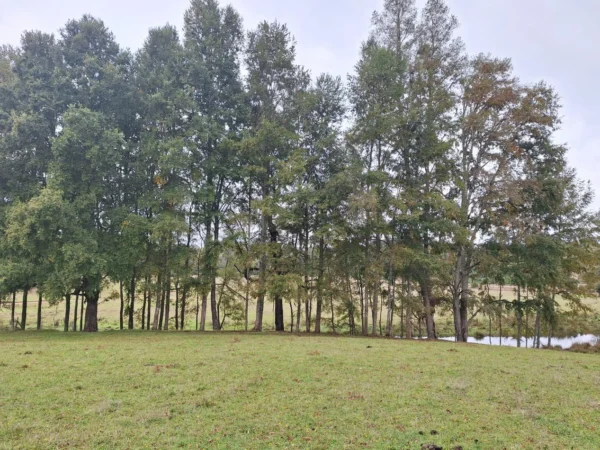 hermosas parcelas por ruta s 91 río, luz y agua. crédito directo