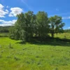 praderas de villarrica iii y iv desde $24.990.000 praderas de villarrica iii y iv desde $24.990.000