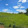 praderas de villarrica iii y iv desde $24.990.000 praderas de villarrica iii y iv desde $24.990.000