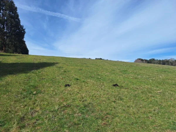 hermosas parcelas por ruta s 91 río, luz y agua. crédito directo