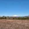praderas de villarrica iii y iv desde $24.990.000 praderas de villarrica iii y iv desde $24.990.000