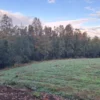 praderas de villarrica etapa ii desde $25.000.000 praderas de villarrica etapa ii desde $25.000.000