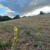 río escondido ruta villarrica pucón desde 2774 uf
