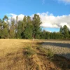 río escondido ruta villarrica pucón desde 2774 uf