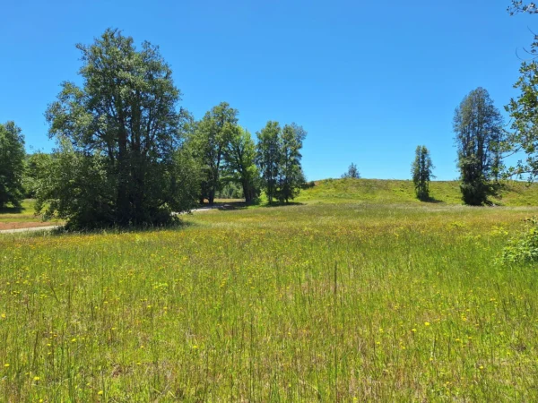 praderas de villarrica iii y iv desde $24.990.000