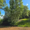 praderas de villarrica iii y iv desde $24.990.000 praderas de villarrica iii y iv desde $24.990.000