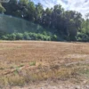 parcela ruta villarrica freire $45.000.000