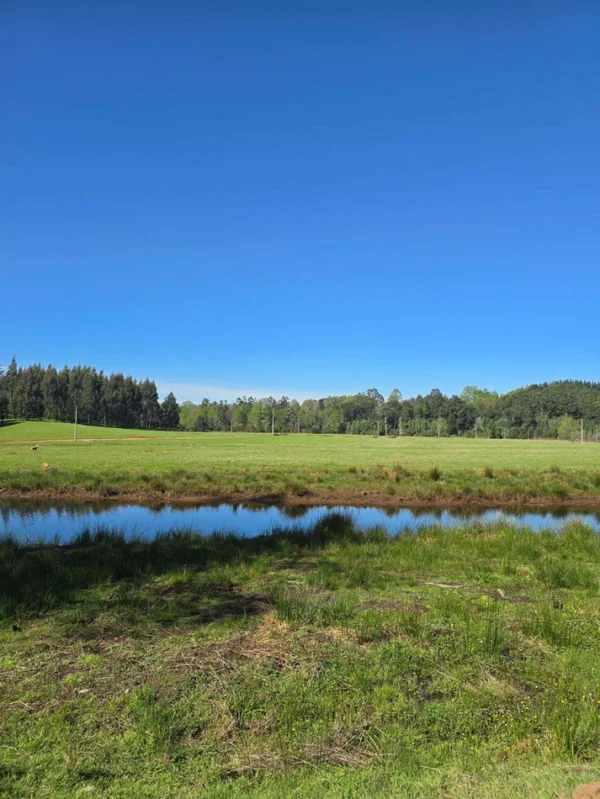 hermosas parcelas por ruta s 91 río, luz y agua. crédito directo