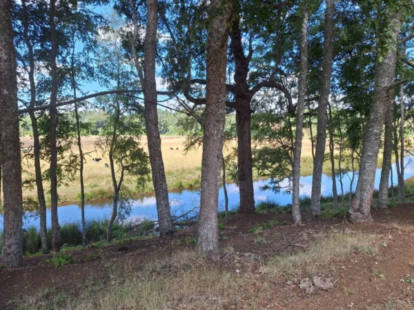 hermosas parcelas por ruta s 91 río, luz y agua. crédito directo