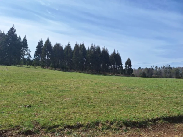 hermosas parcelas por ruta s 91 río, luz y agua. crédito directo