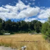 parcela ruta villarrica freire $45.000.000
