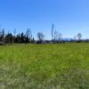 río escondido ruta villarrica pucón desde 2774 uf