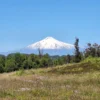 praderas de villarrica iii y iv desde $24.990.000 praderas de villarrica iii y iv desde $24.990.000