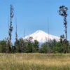 praderas de villarrica iii y iv desde $24.990.000 praderas de villarrica iii y iv desde $24.990.000