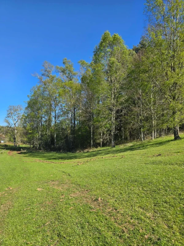 hermosas parcelas por ruta s 91 río, luz y agua. crédito directo