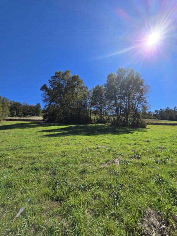 praderas de villarrica etapa ii