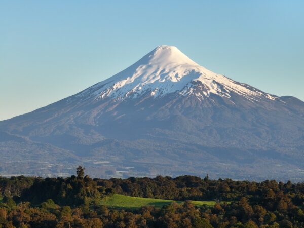 vista octay