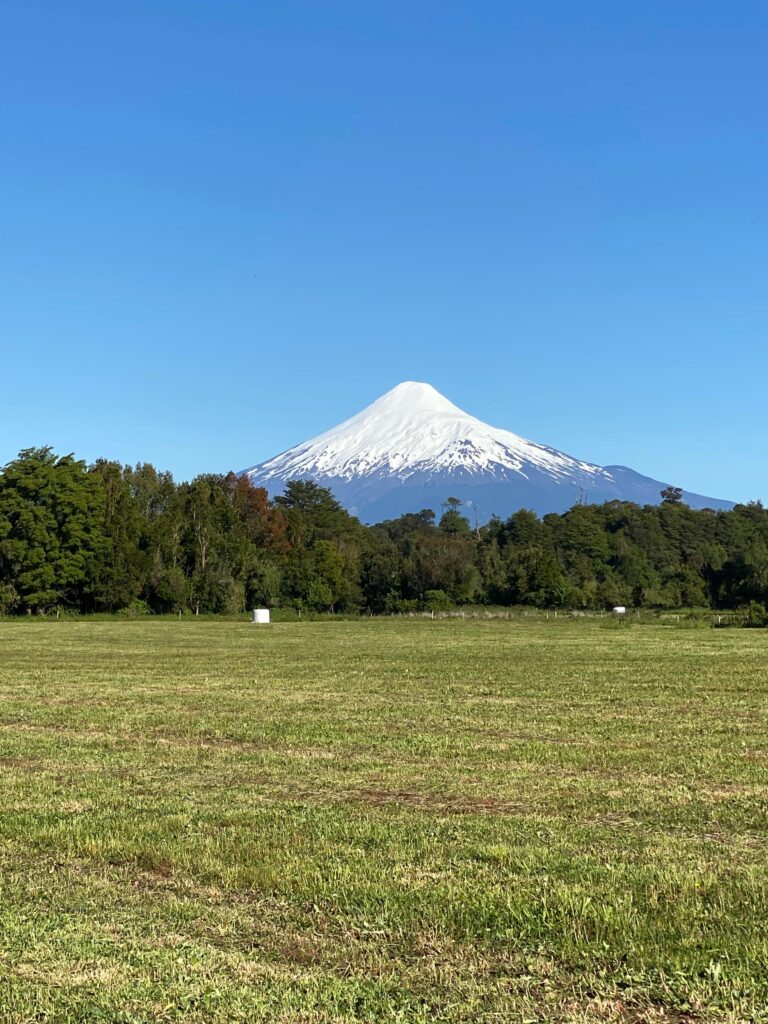vista octay