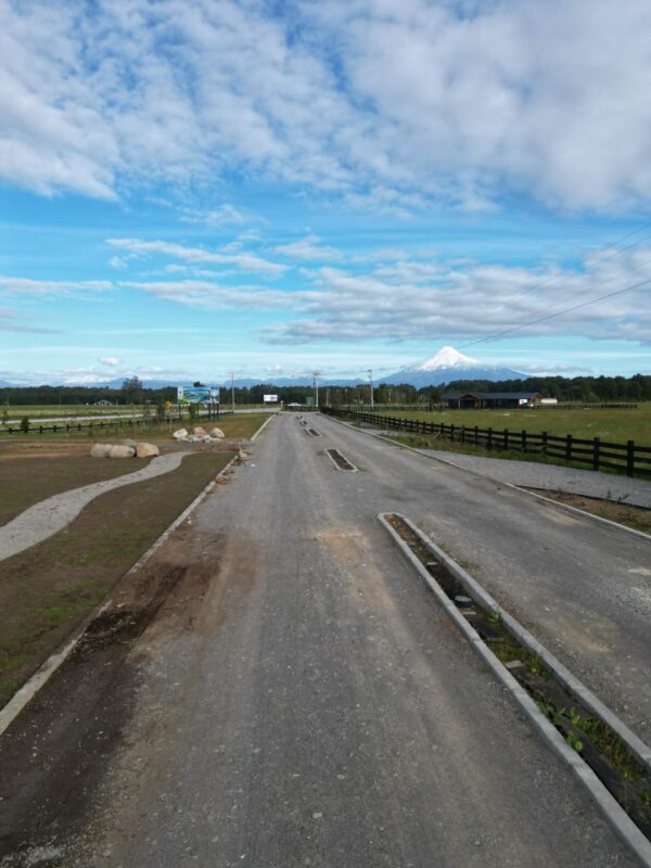vista octay