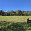 la parva ruta villarrica freire