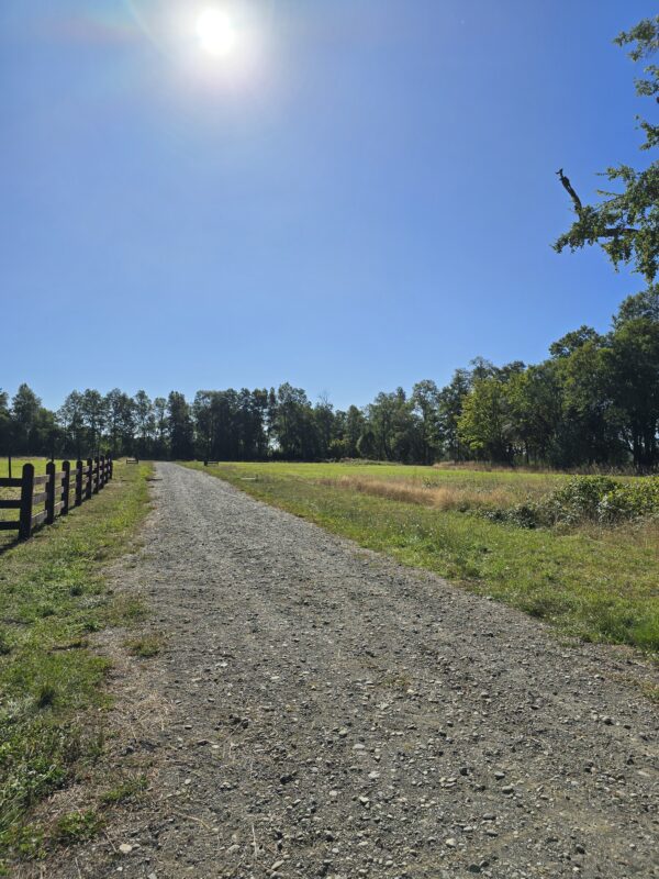 la parva ruta villarrica freire