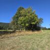 la parva ruta villarrica freire