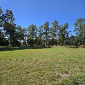 la parva ruta villarrica freire
