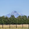 la parva ruta villarrica freire