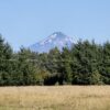 la parva ruta villarrica freire