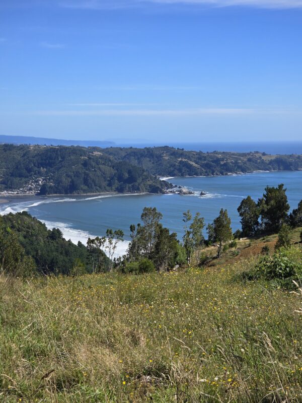 fundo la huella mehuín