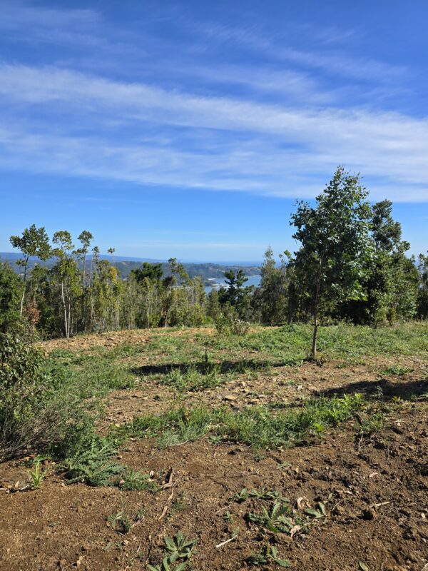 fundo la huella mehuín