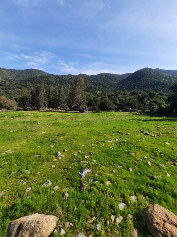 img 20251025 wa0183