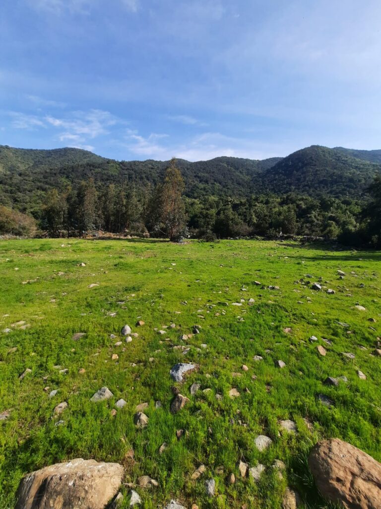 img 20251025 wa0183